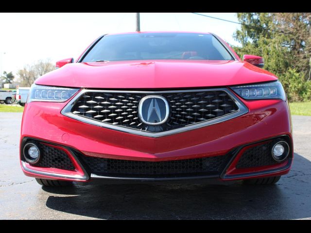2019 Acura TLX A-Spec Red Leather