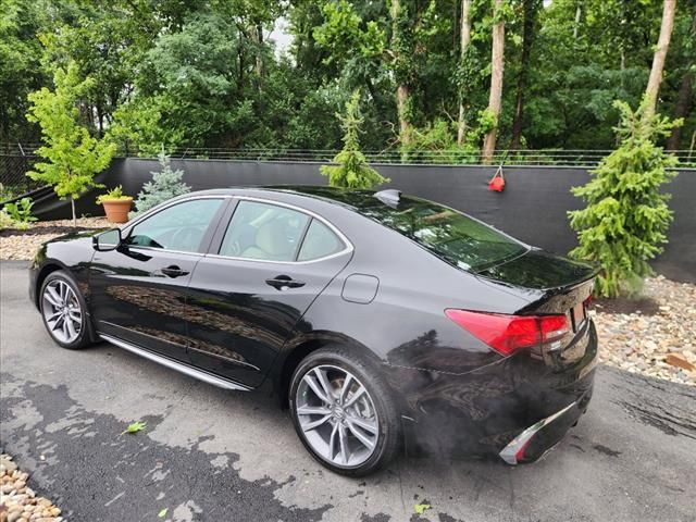 2019 Acura TLX Advance