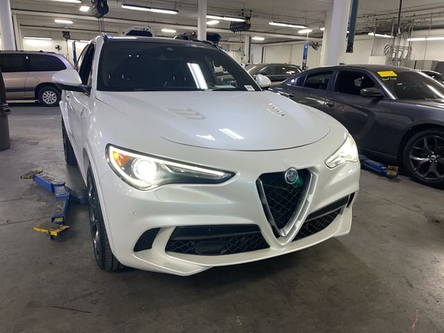 2019 Alfa Romeo Stelvio Quadrifoglio