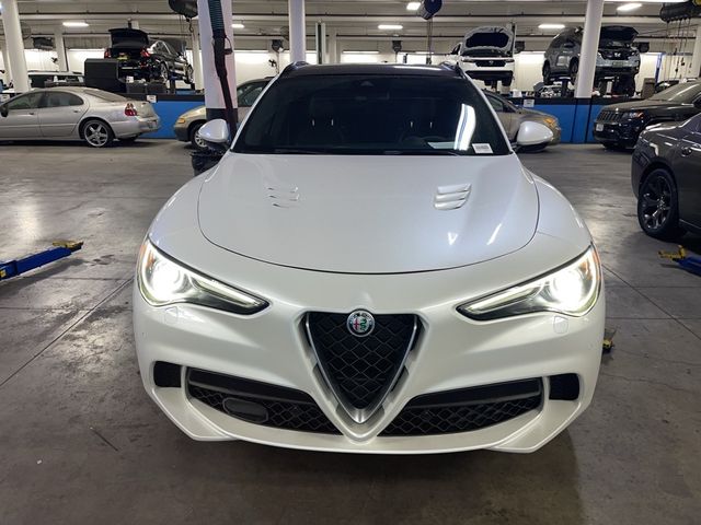 2019 Alfa Romeo Stelvio Quadrifoglio