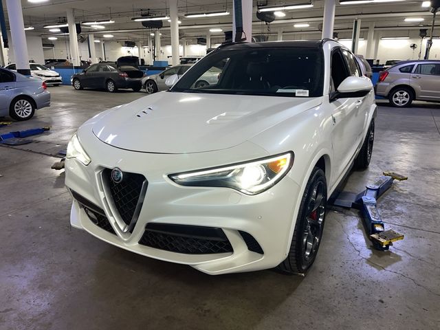 2019 Alfa Romeo Stelvio Quadrifoglio