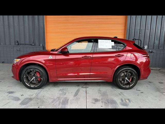 2019 Alfa Romeo Stelvio Quadrifoglio