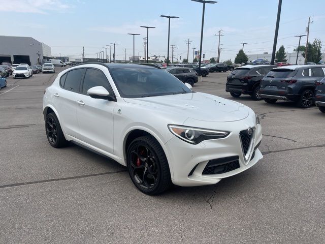 2019 Alfa Romeo Stelvio Quadrifoglio