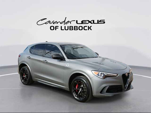 2019 Alfa Romeo Stelvio Quadrifoglio