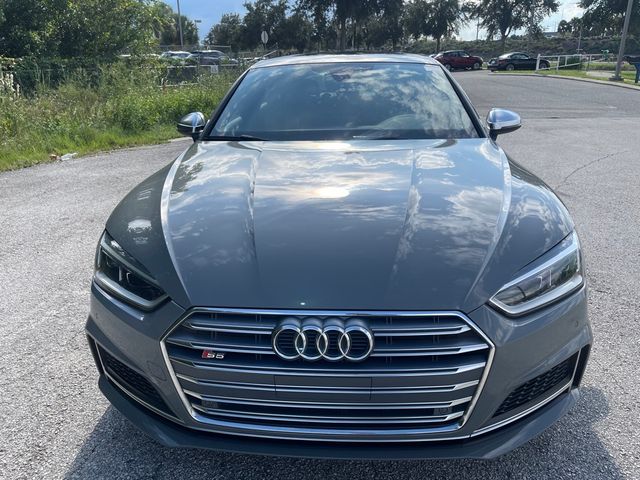 2019 Audi S5 Sportback Premium Plus