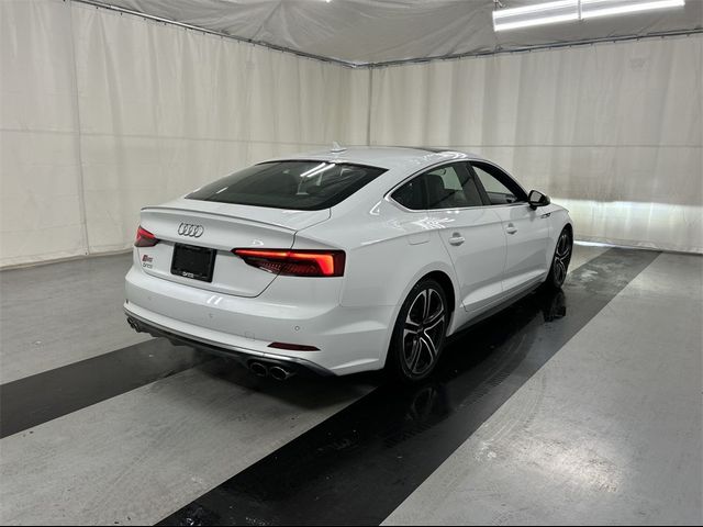 2019 Audi S5 Sportback Premium Plus