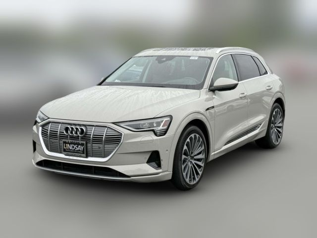 2019 Audi e-tron Prestige