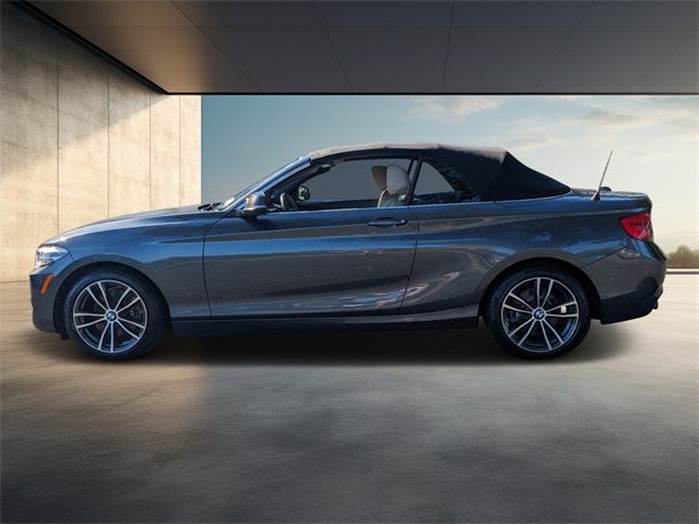 2019 BMW 2 Series 230i