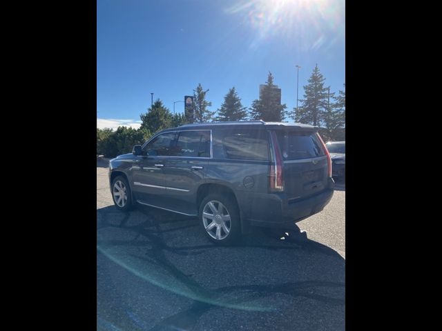 2019 Cadillac Escalade Luxury