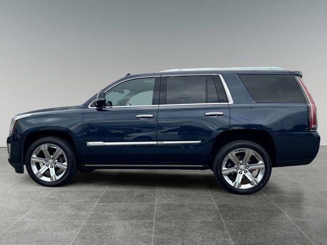 2019 Cadillac Escalade Platinum