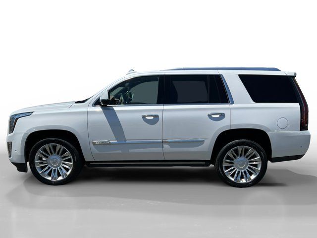 2019 Cadillac Escalade Platinum