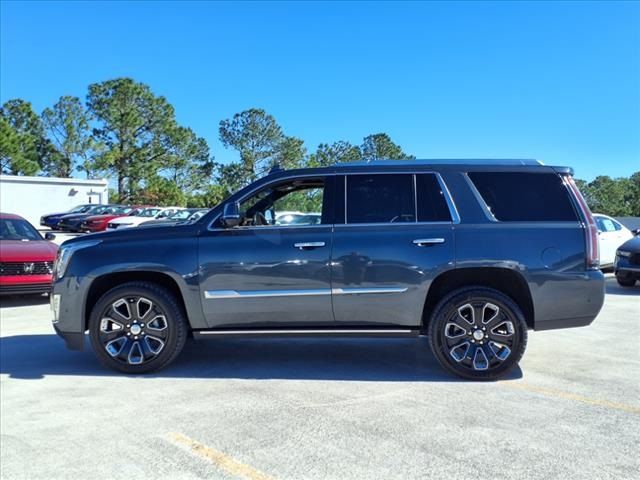 2019 Cadillac Escalade Platinum