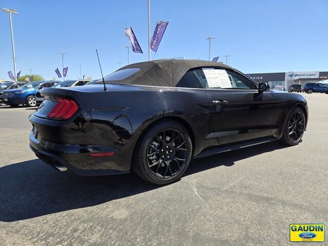 2019 Ford Mustang 