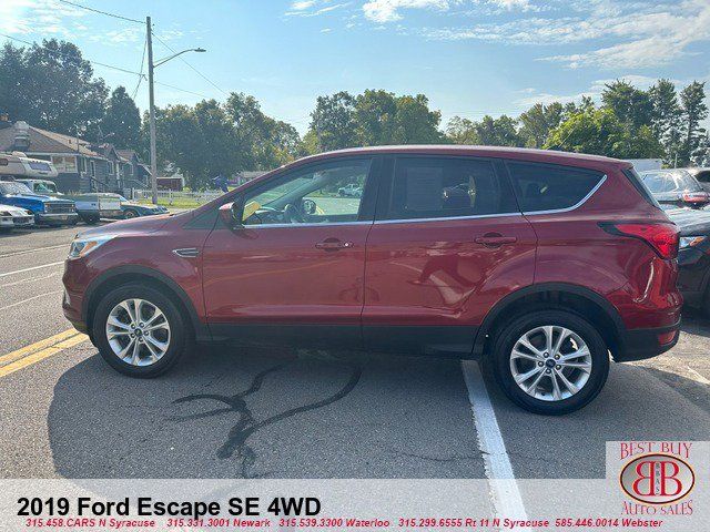 2019 Ford Escape SE