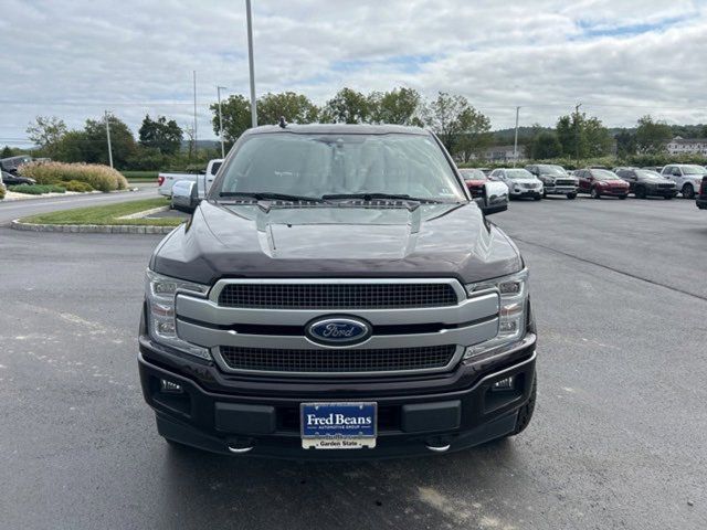 2019 Ford F-150 Platinum