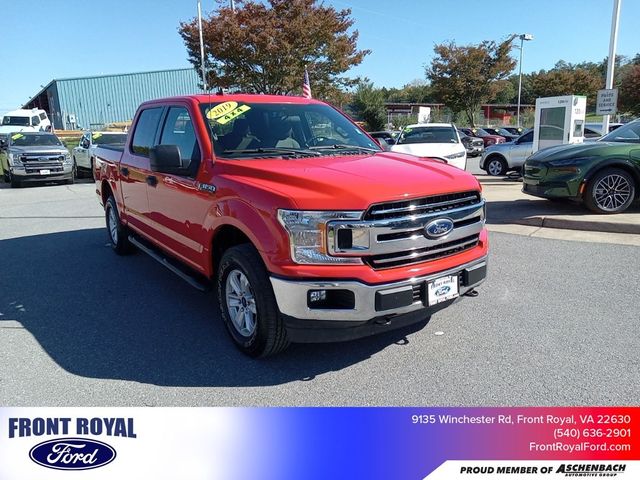 2019 Ford F-150 XLT