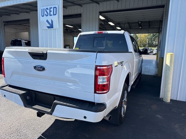 2019 Ford F-150 XLT