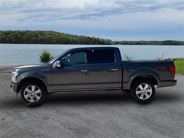 2019 Ford F-150 Platinum