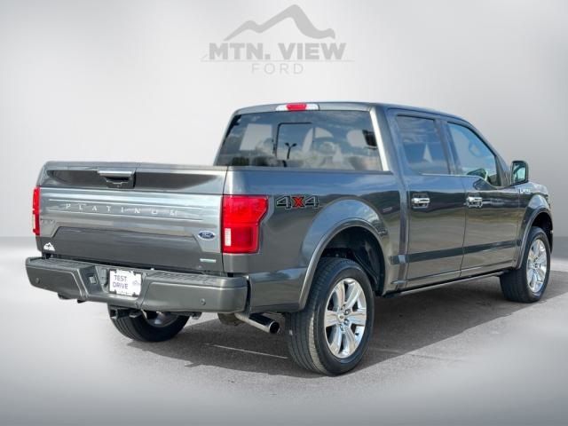 2019 Ford F-150 Platinum