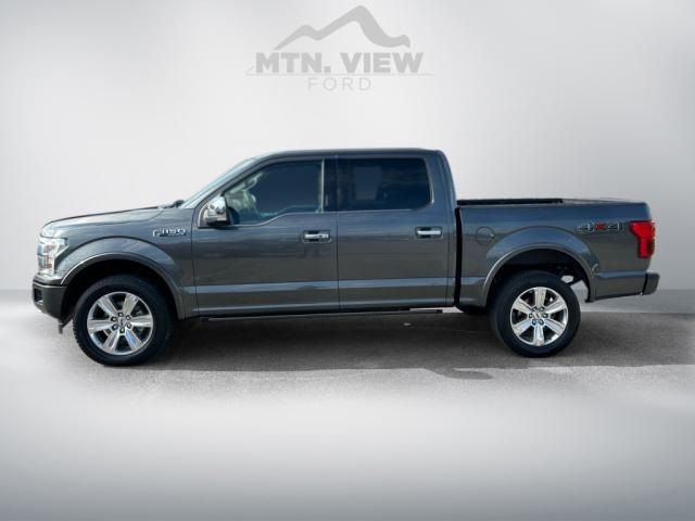 2019 Ford F-150 Platinum