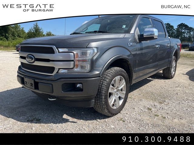 2019 Ford F-150 Platinum