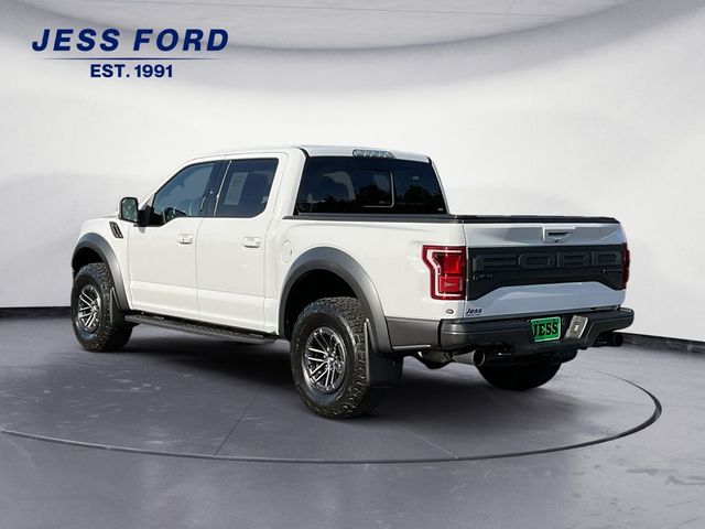 2019 Ford F-150 Raptor