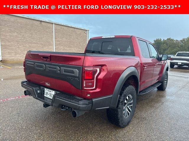 2019 Ford F-150 Raptor