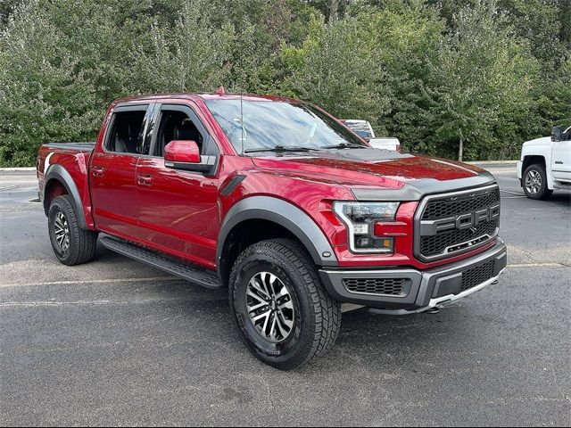 2019 Ford F-150 Raptor