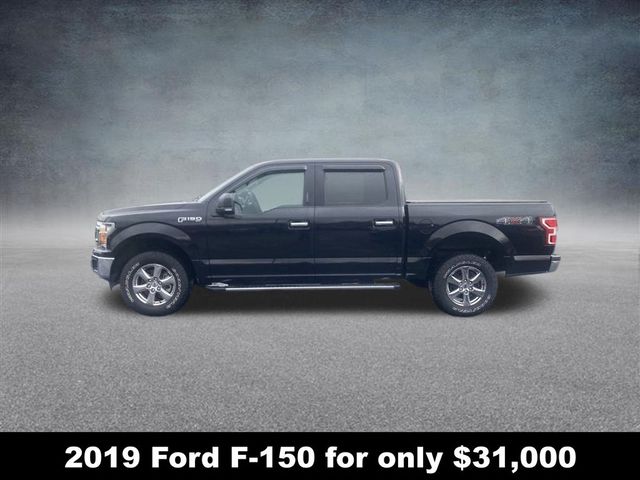 2019 Ford F-150 XLT