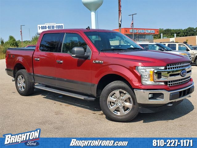 2019 Ford F-150 XLT