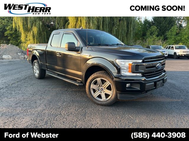 2019 Ford F-150 XLT