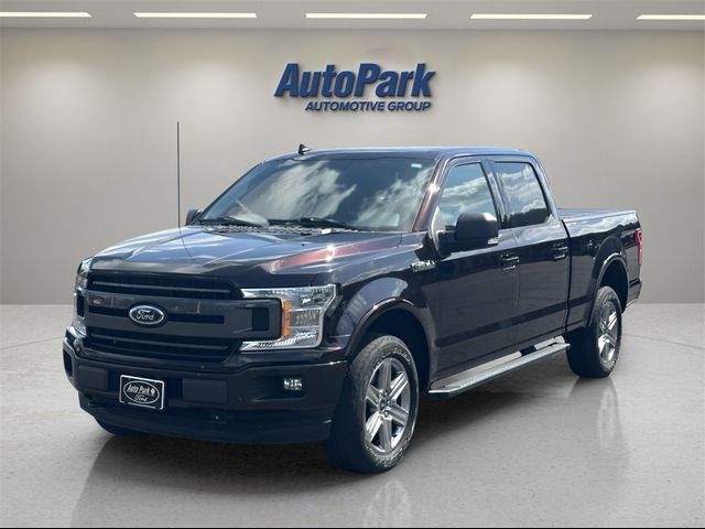 2019 Ford F-150 XLT