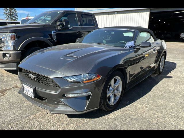 2019 Ford Mustang 