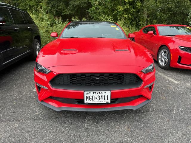 2019 Ford Mustang EcoBoost