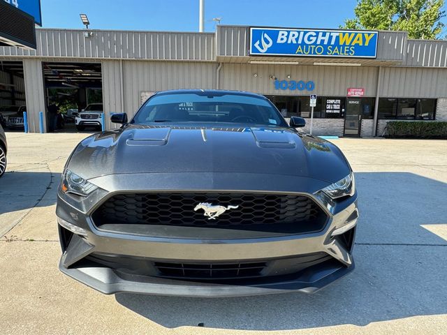 2019 Ford Mustang 