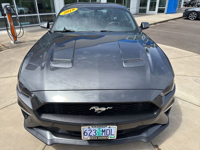 2019 Ford Mustang EcoBoost
