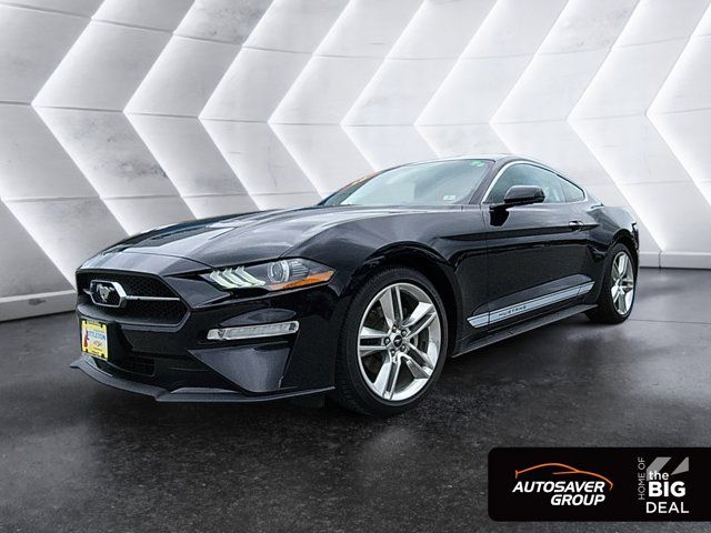 2019 Ford Mustang EcoBoost