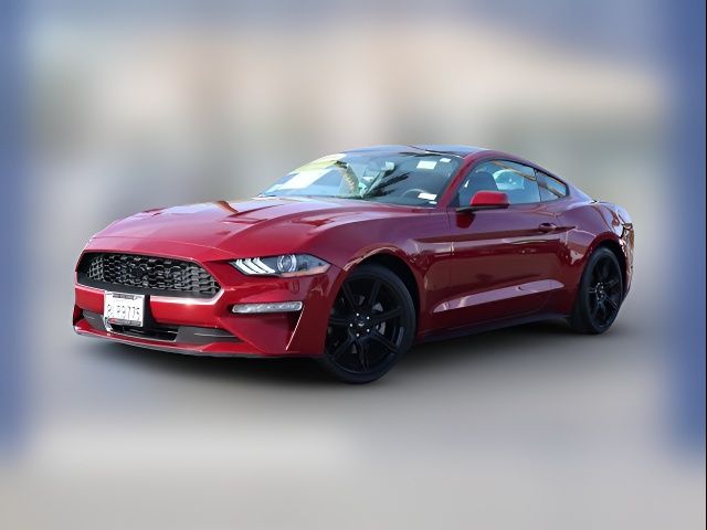 2019 Ford Mustang EcoBoost