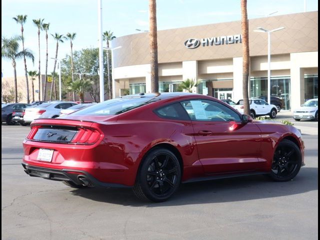 2019 Ford Mustang EcoBoost