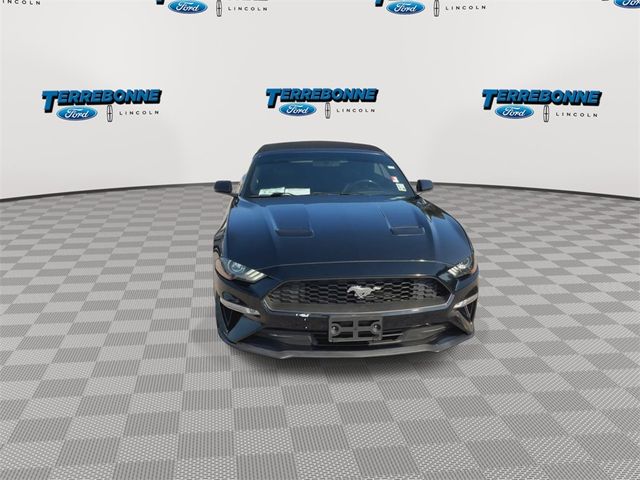 2019 Ford Mustang EcoBoost Premium