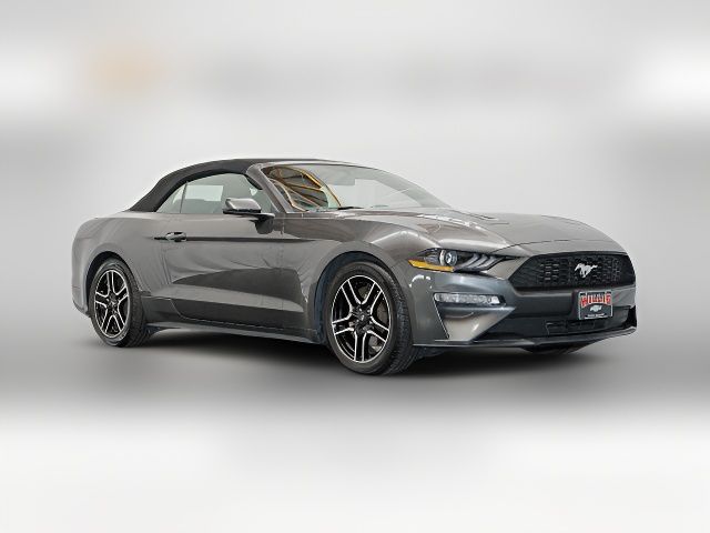 2019 Ford Mustang EcoBoost