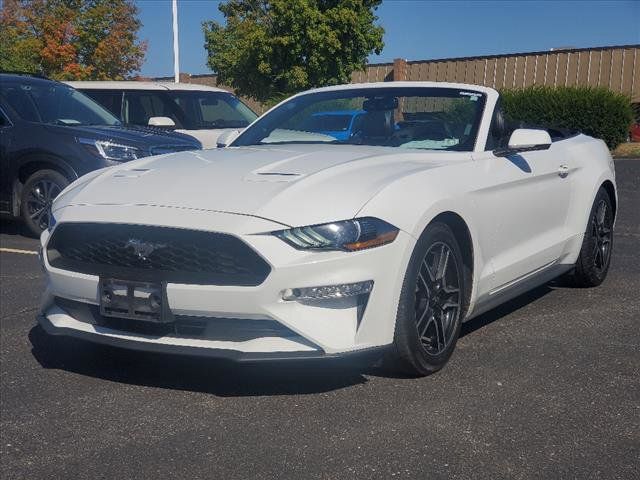 2019 Ford Mustang 