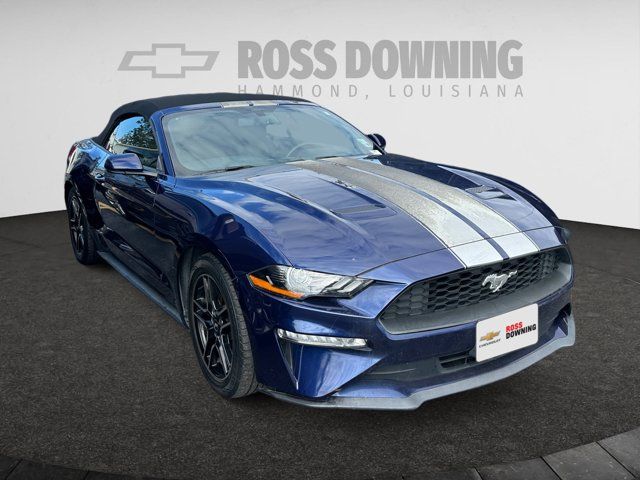 2019 Ford Mustang 