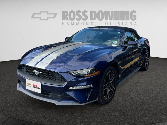 2019 Ford Mustang 