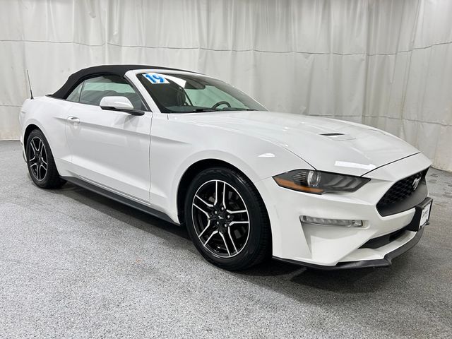 2019 Ford Mustang EcoBoost