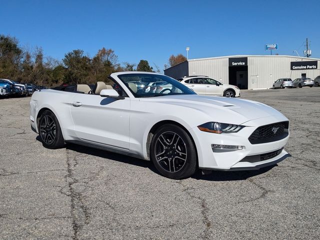 2019 Ford Mustang EcoBoost