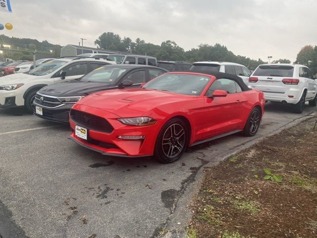 2019 Ford Mustang 