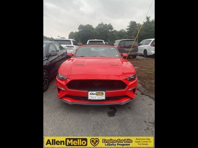 2019 Ford Mustang 