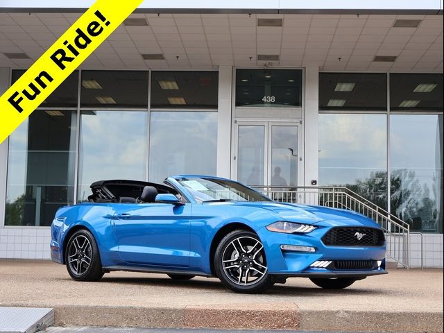 2019 Ford Mustang 