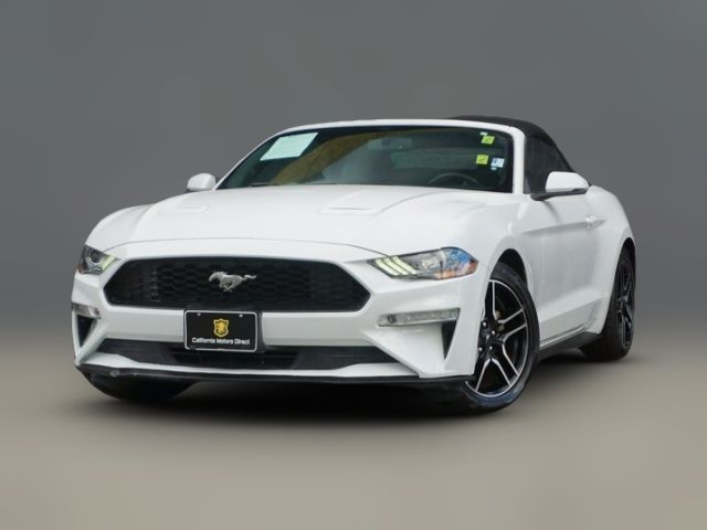 2019 Ford Mustang EcoBoost